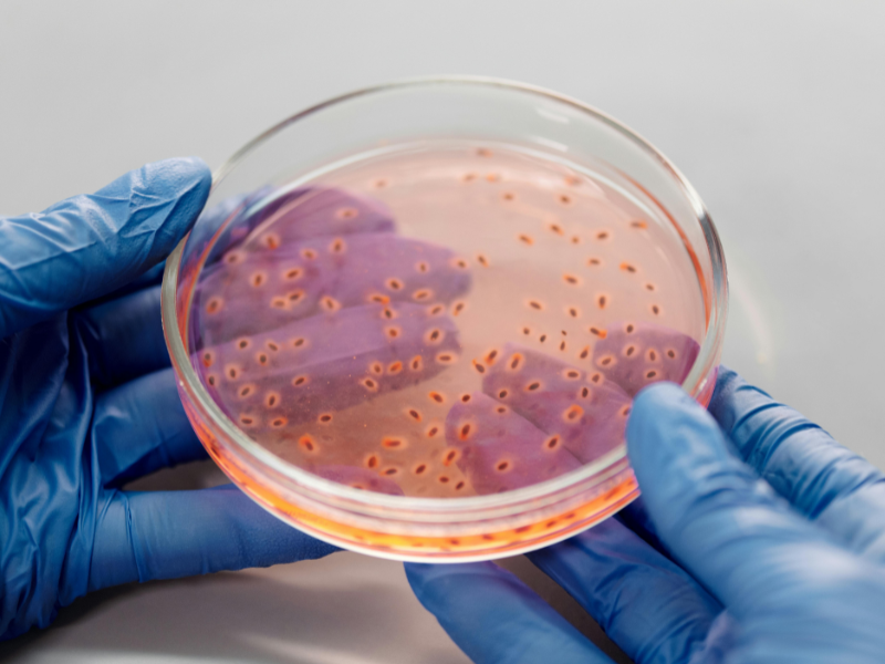Equipe Haydak trabalhando em laboratório de microbiologia